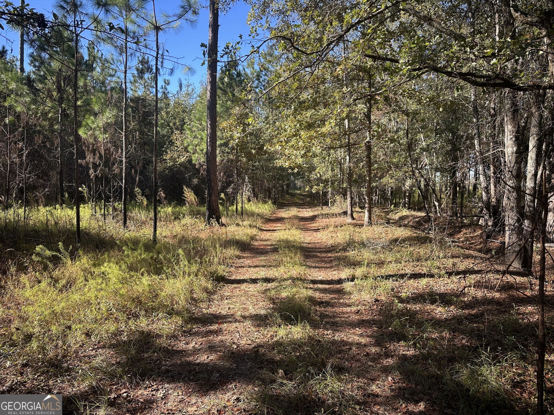 0 Buck Creek Road, Sylvania, GA 30467 Main Photo