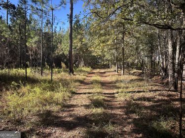 0 Buck Creek Road, Sylvania, GA 30467