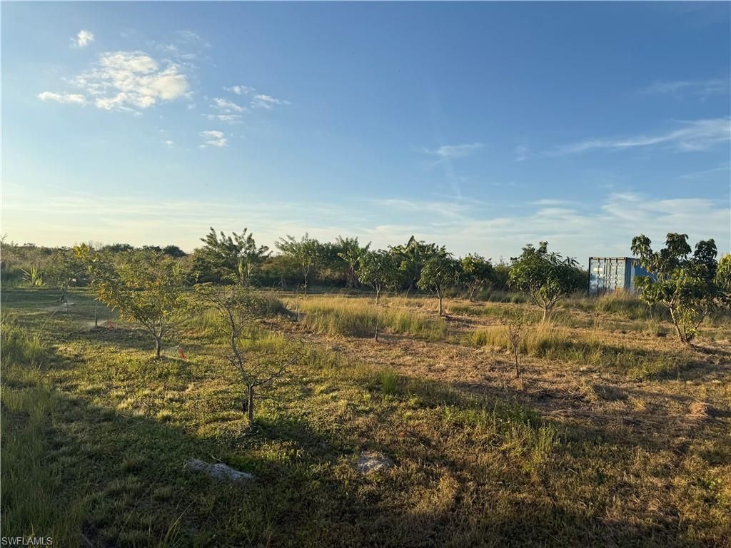 6724 5th Rd , Labelle, FL 33935 Photo