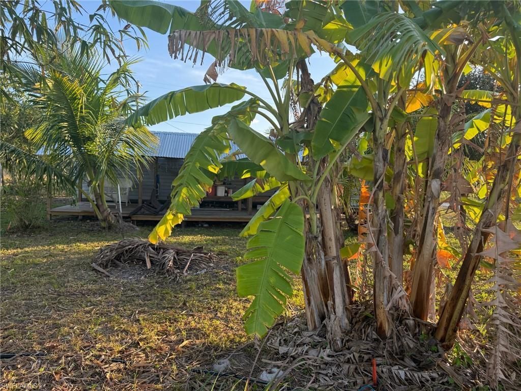 6724 5th Rd , Labelle, FL 33935 Photo