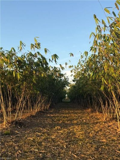 6724 5th Rd , Labelle, FL 33935 Photo