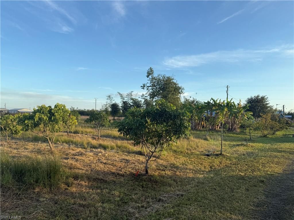 6724 5th Rd , Labelle, FL 33935 Photo