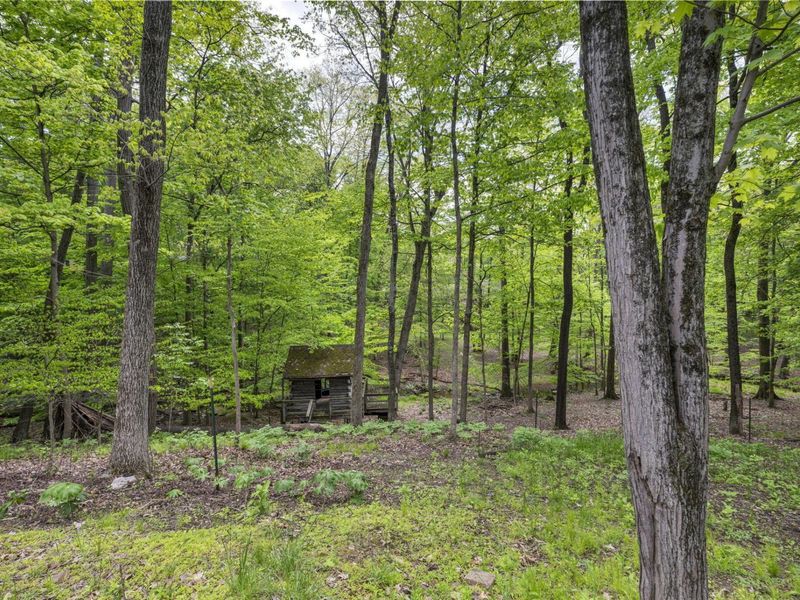 410 Apple Hill Drive N, Howard, OH 43028 Photo 21