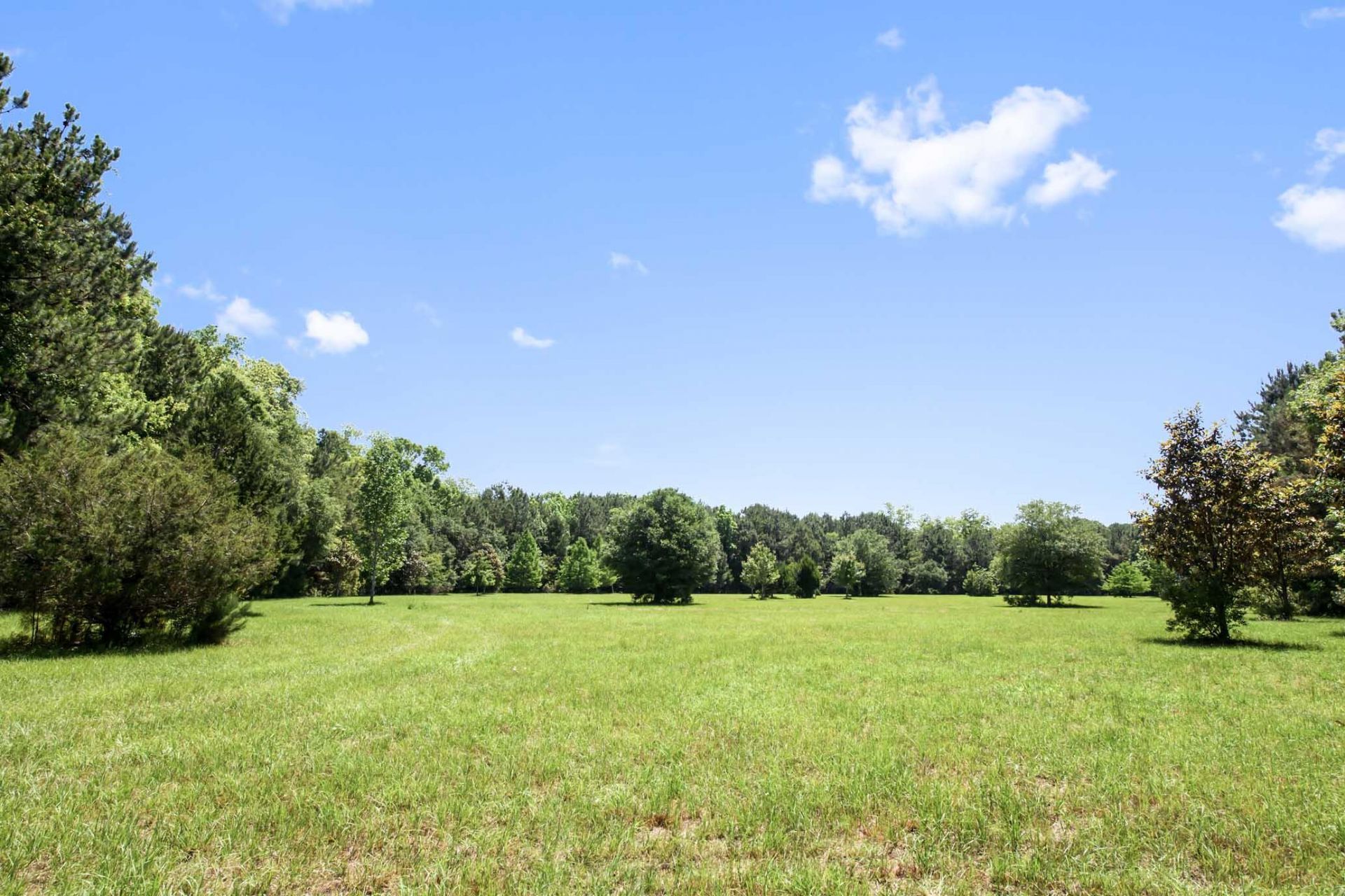 6180 Josie Ridge Road Photo 10