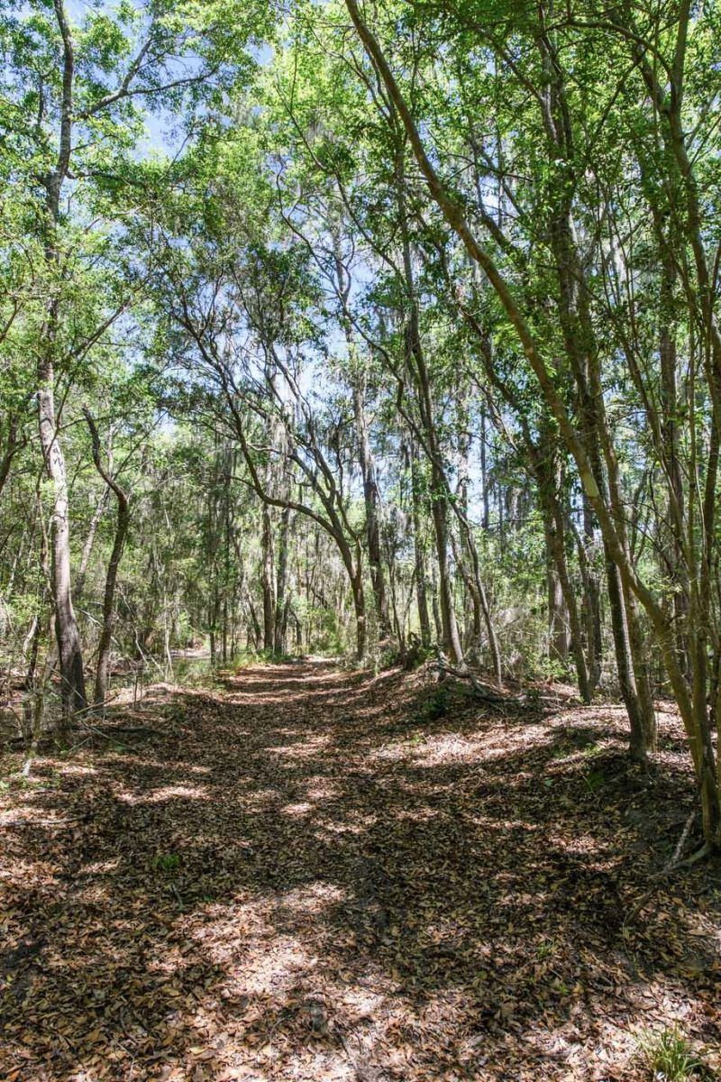 6180 Josie Ridge Road Photo 11