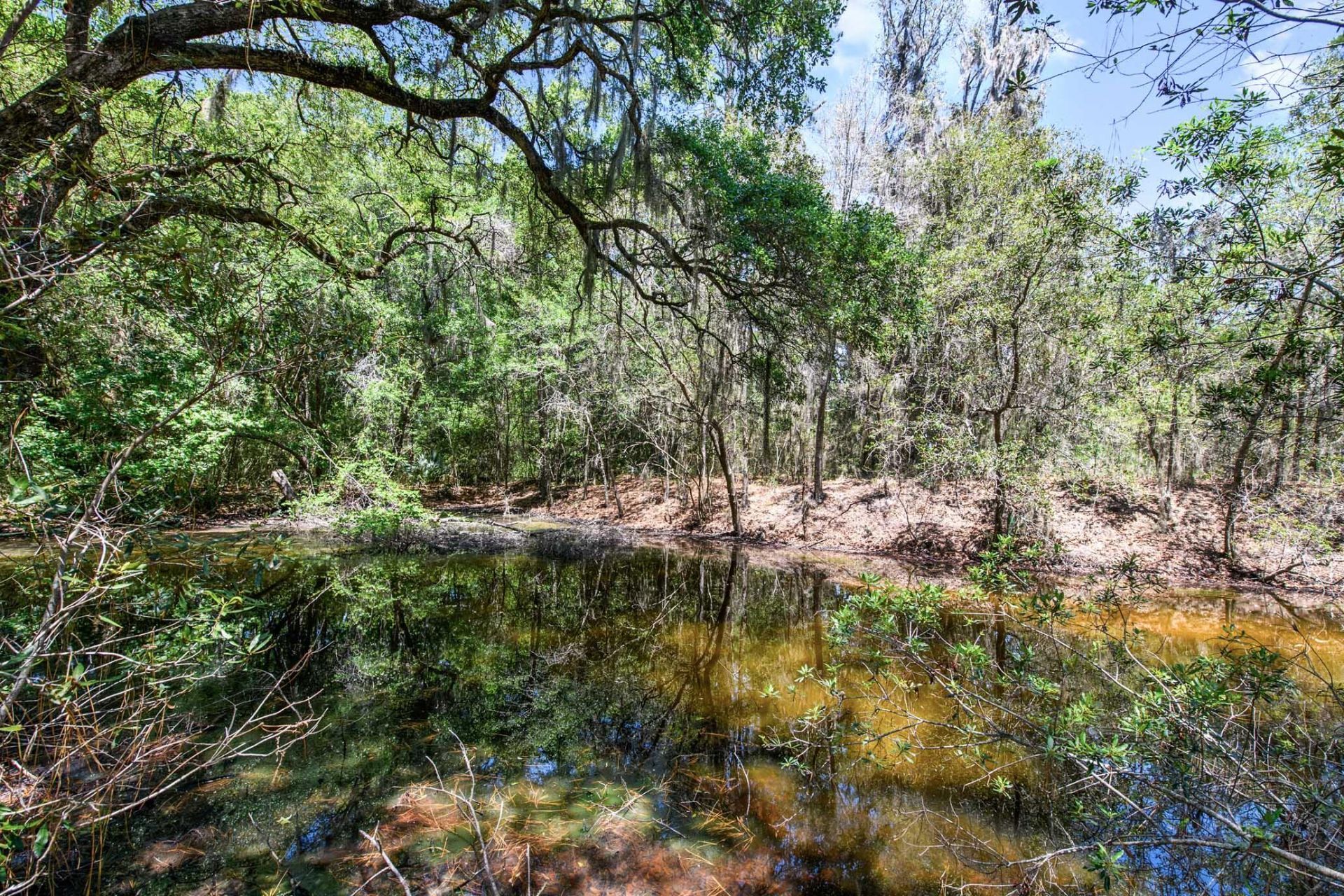 6180 Josie Ridge Road Photo 13