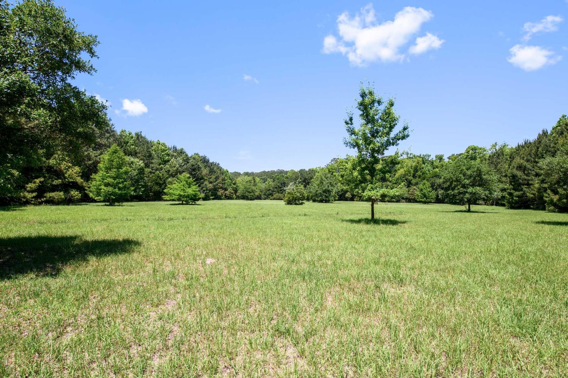 6180 Josie Ridge Road Photo 15