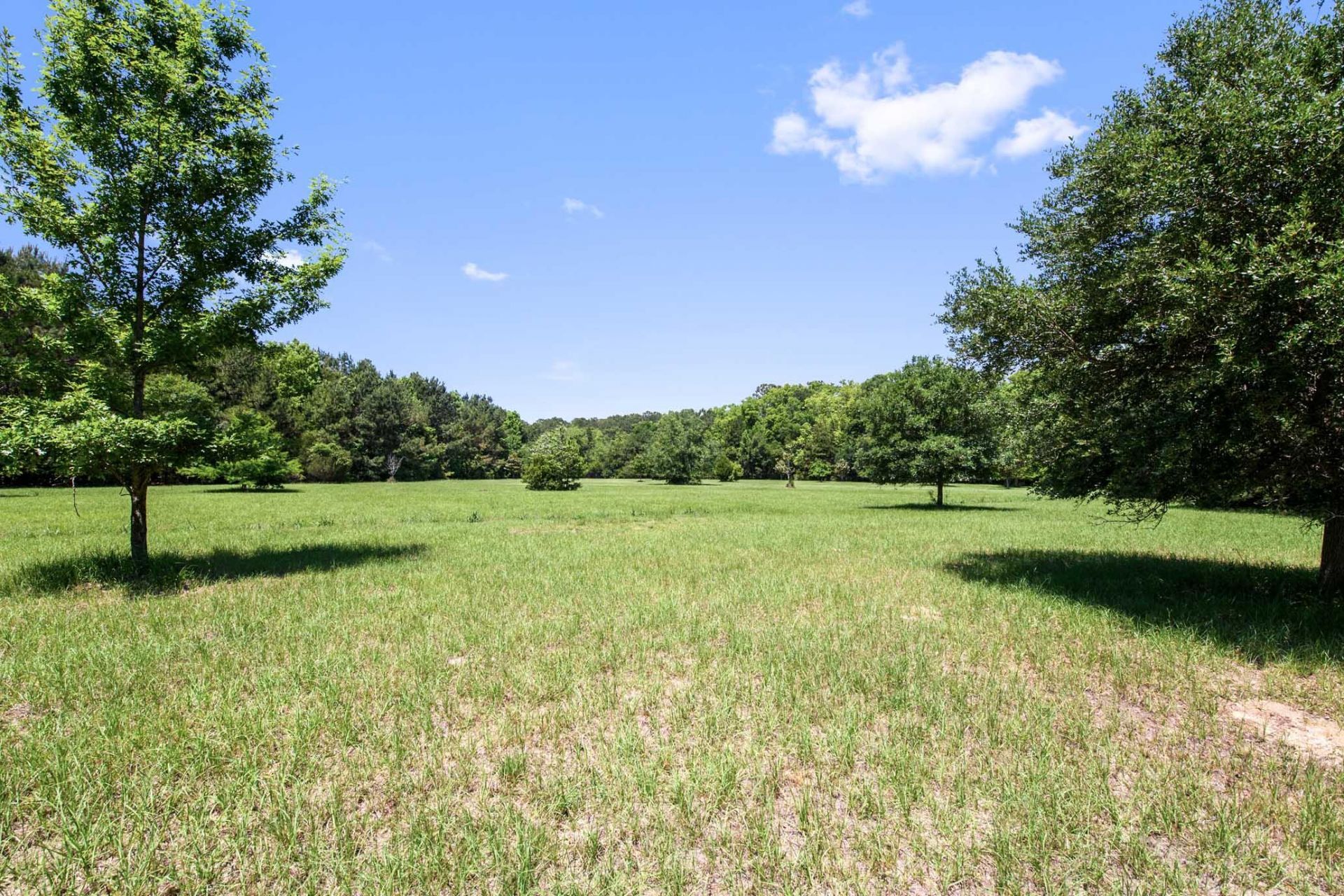 6180 Josie Ridge Road Photo 16