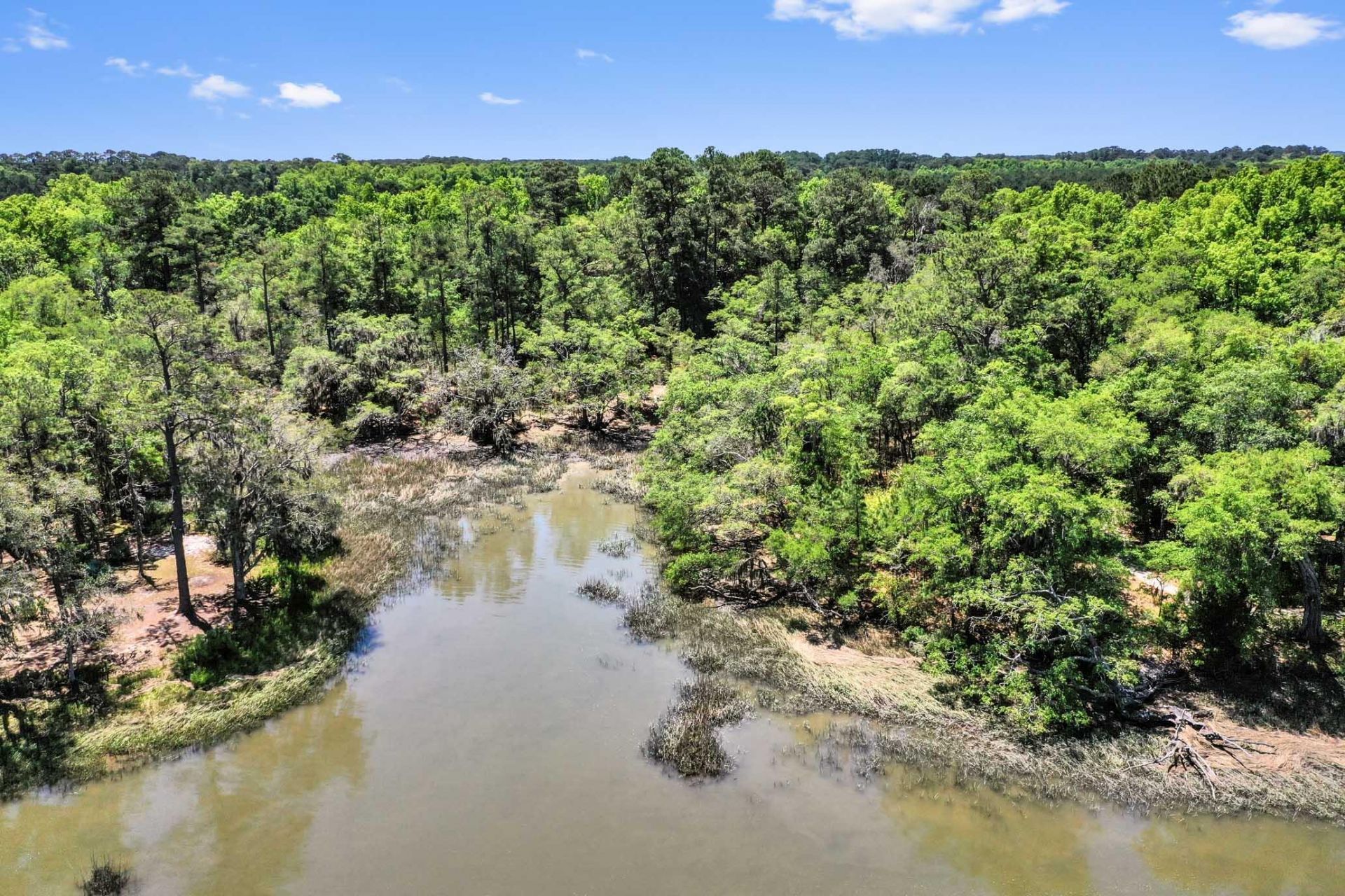 6180 Josie Ridge Road Photo 4