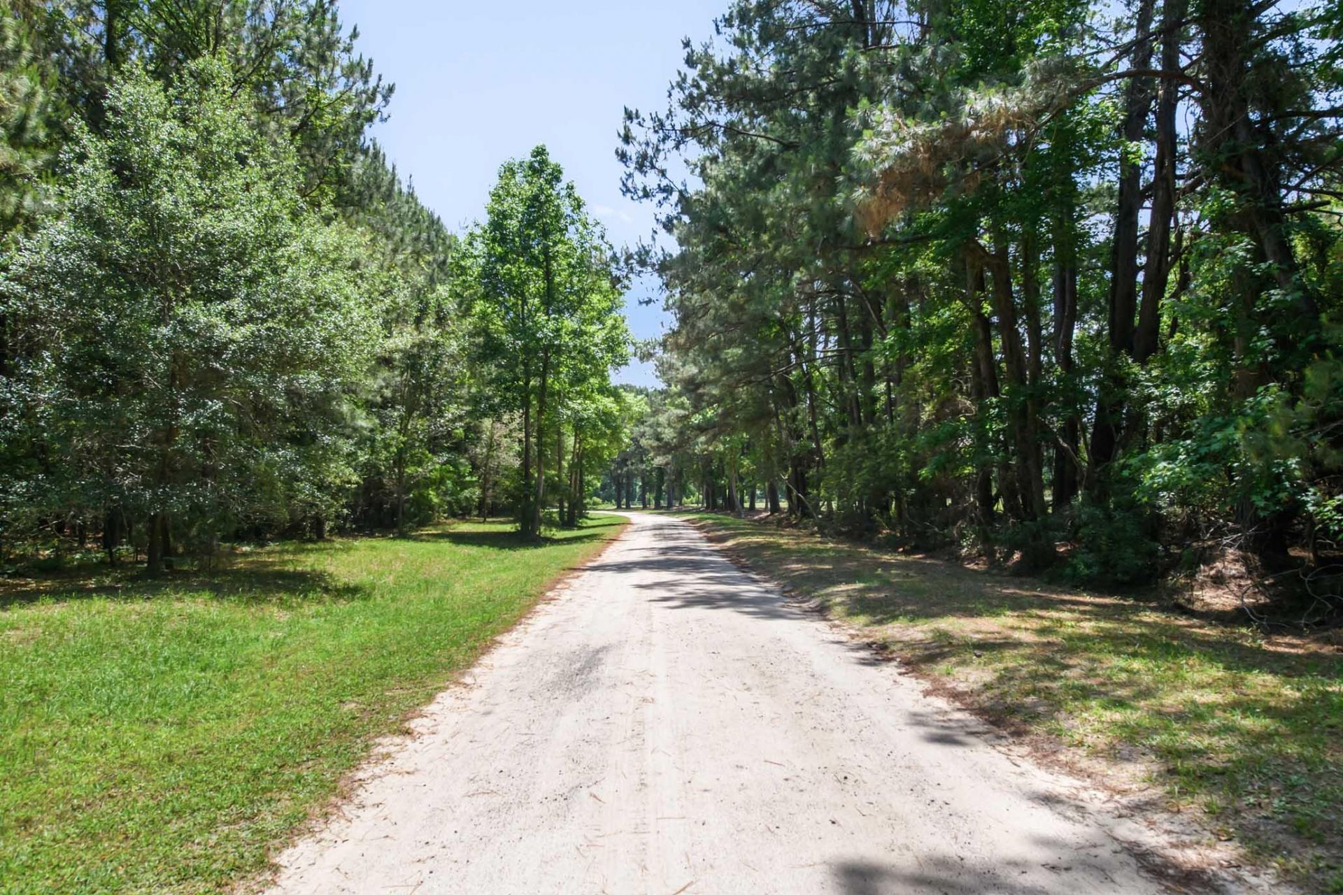 6180 Josie Ridge Road Photo 6