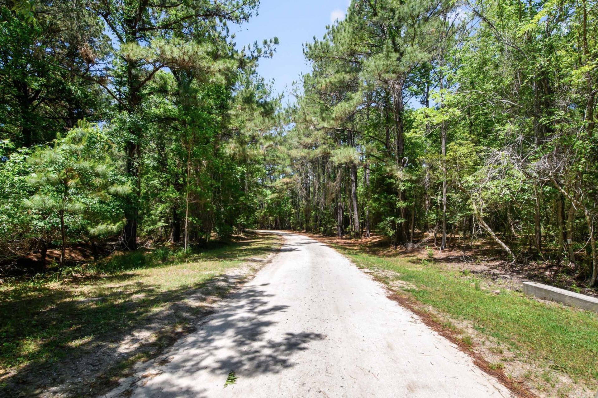 6180 Josie Ridge Road Photo 7