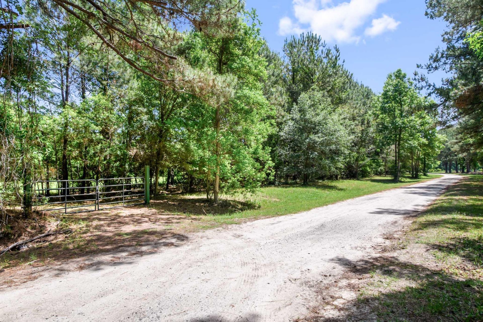 6180 Josie Ridge Road Photo 8