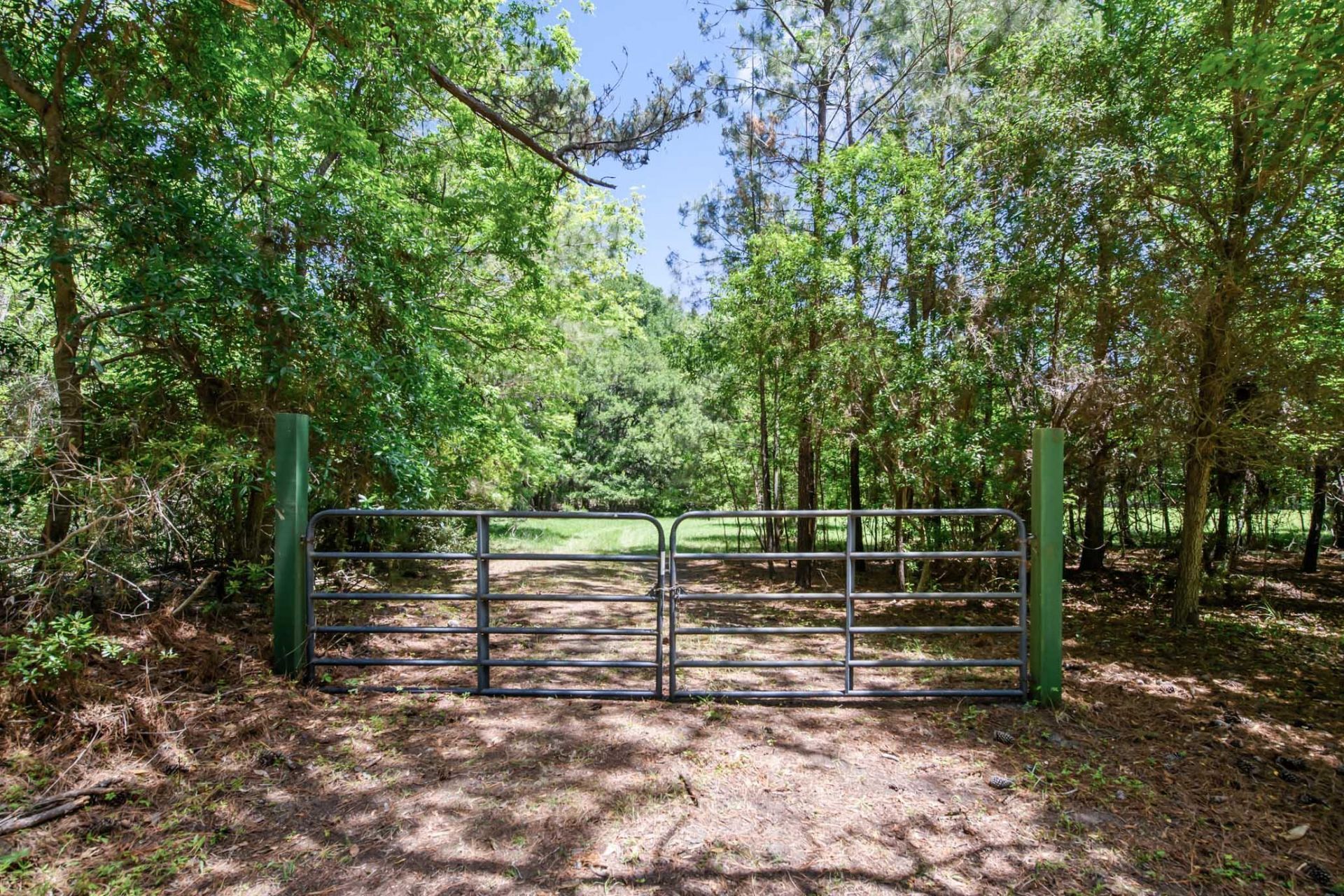6180 Josie Ridge Road Photo 9