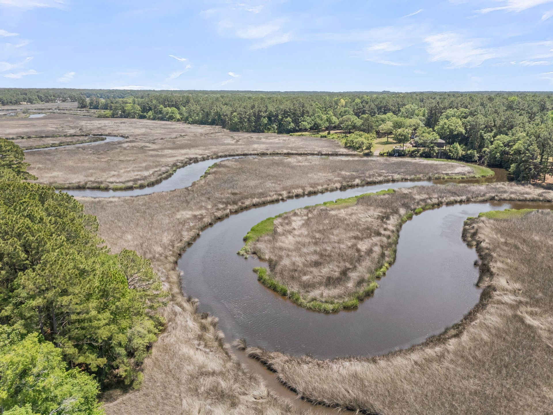 1088 Theodore Brunson Road Photo 13