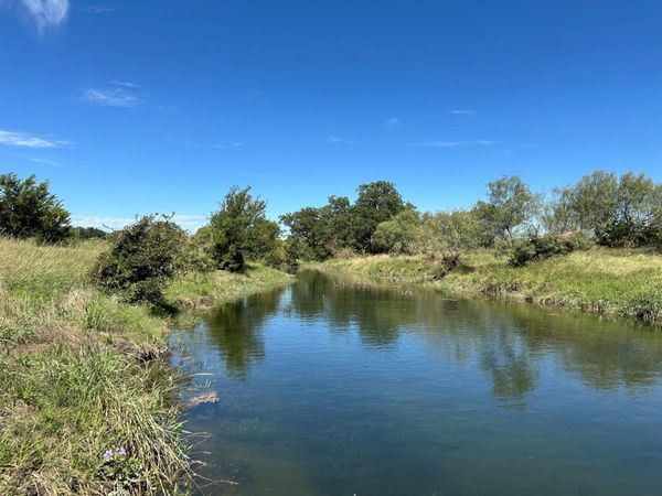 23 acres County Road 330, Bertram, TX 78605