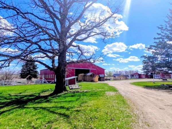 33293 115th Avenue , Eagle Bend, MN 56446