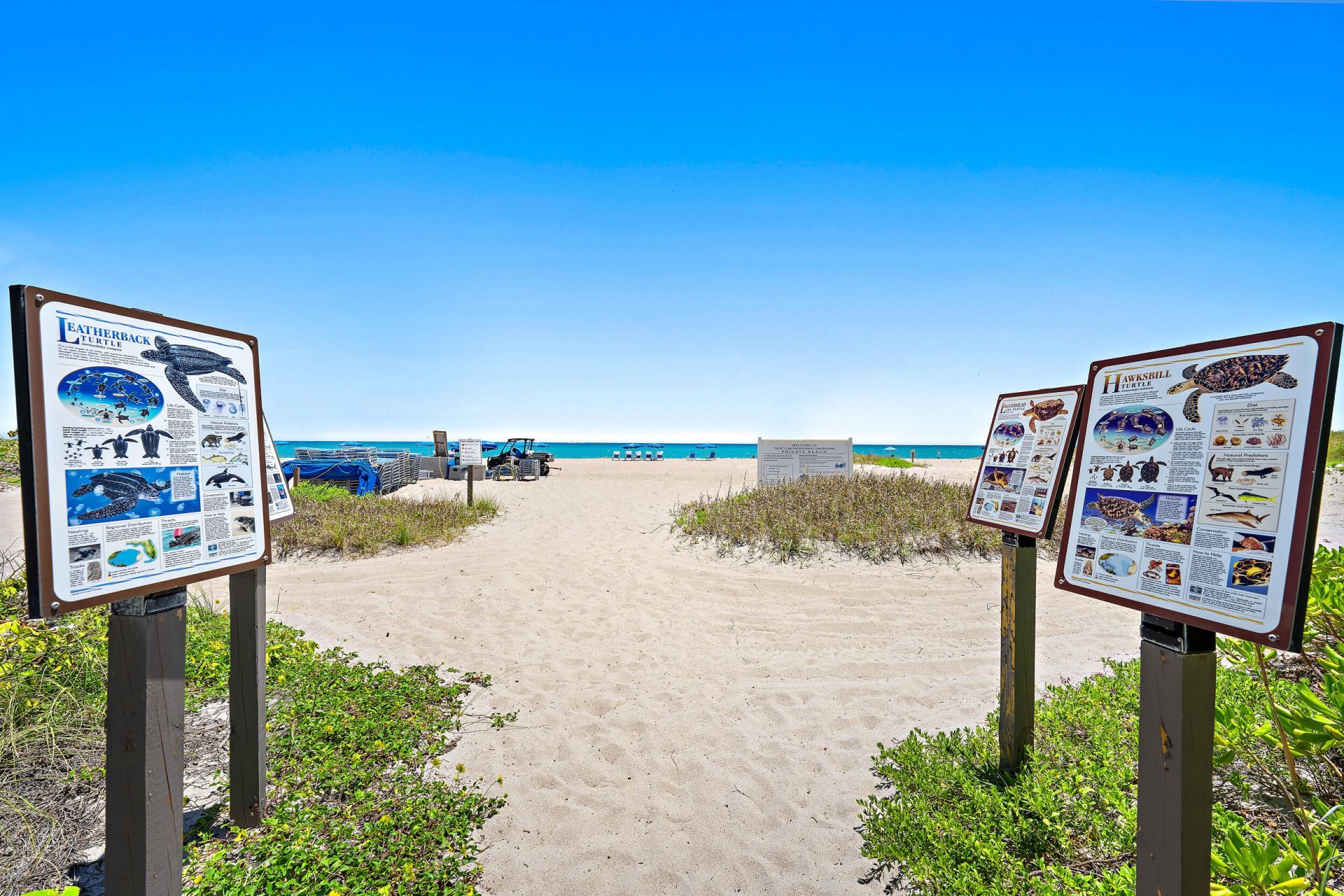 2700 N Ocean Drive, Unit 801b, Singer Island, FL 33404 Photo