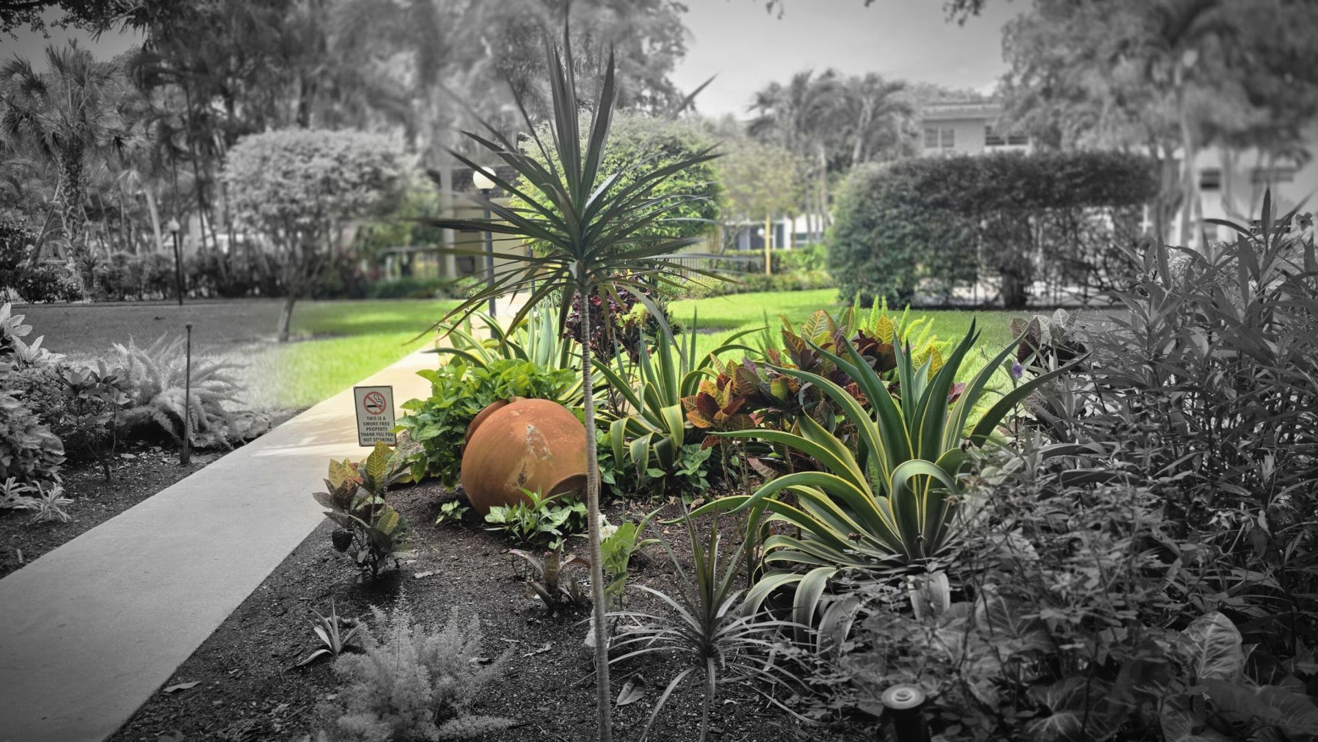 5161 W Oakland Park Boulevard, Unit 206, Lauderdale Lakes, FL 33313 Photo