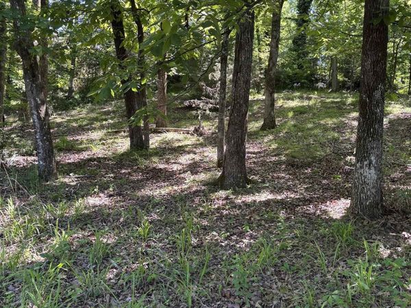 TBD N CRYSTAL SPRINGS Road, Royal, AR 71968