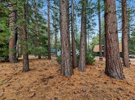 686 Cayuga Street, South Lake Tahoe, CA 96150 Photo
