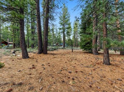 686 Cayuga Street, South Lake Tahoe, CA 96150 Photo