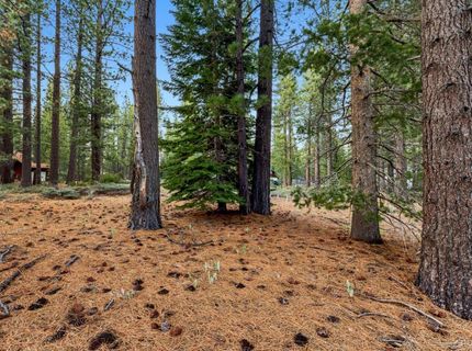 686 Cayuga Street, South Lake Tahoe, CA 96150 Photo