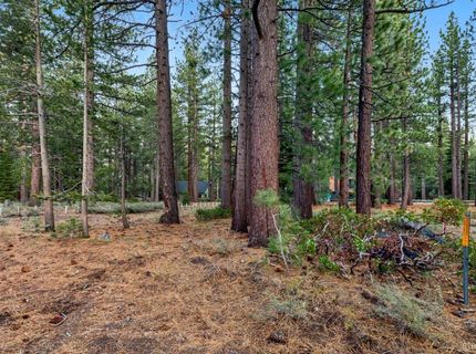 686 Cayuga Street, South Lake Tahoe, CA 96150 Photo