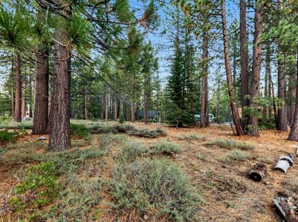 686 Cayuga Street, South Lake Tahoe, CA 96150 Photo