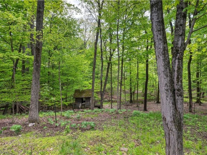 410 Apple Hill Drive N, Howard, OH 43028 Photo 33