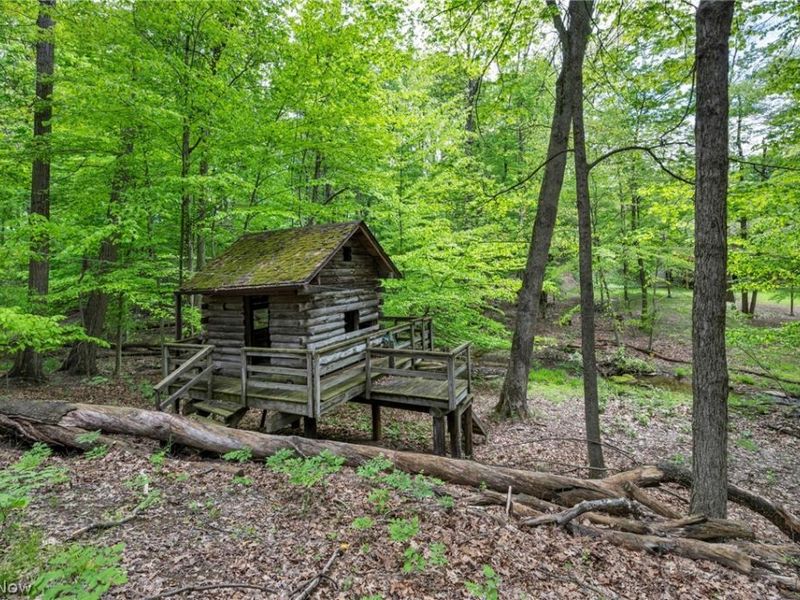 410 Apple Hill Drive N, Howard, OH 43028 Photo 34