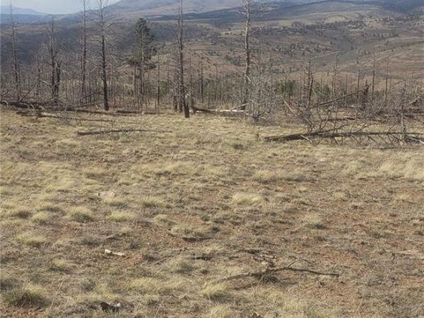 Lot 321 Hagin Lane , Fort Garland, CO 81133