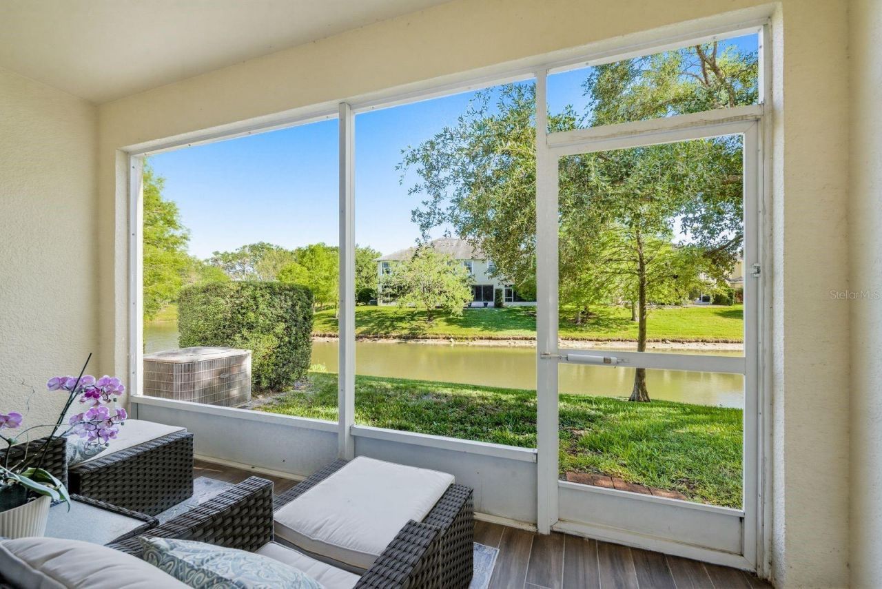 336 Harbor Ridge Drive, Palm Harbor, FL 34683 Photo