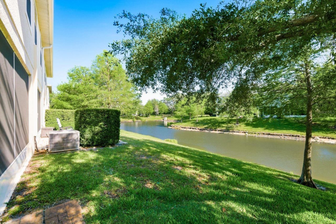 336 Harbor Ridge Drive, Palm Harbor, FL 34683 Photo