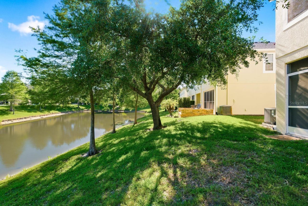 336 Harbor Ridge Drive, Palm Harbor, FL 34683 Photo