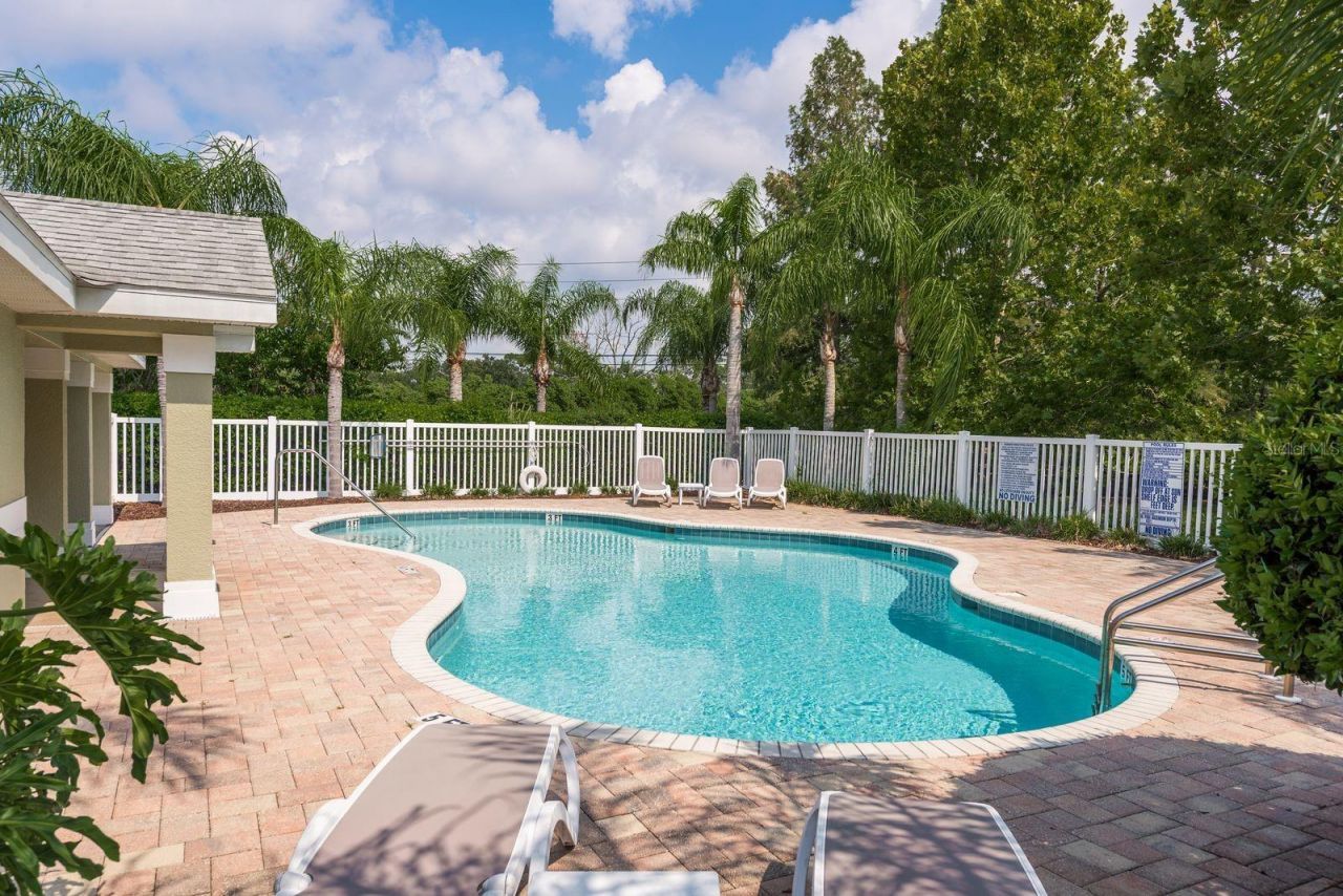 336 Harbor Ridge Drive, Palm Harbor, FL 34683 Photo