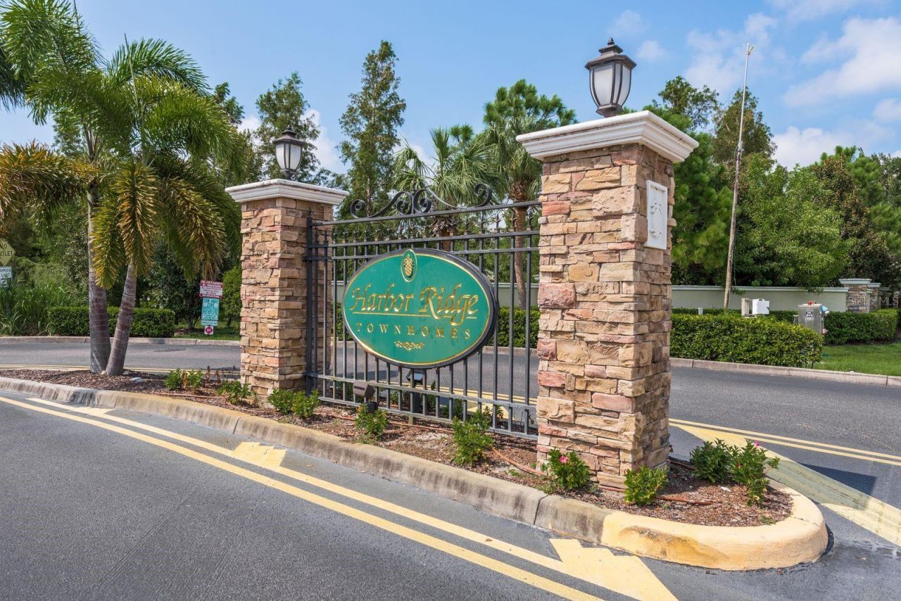 336 Harbor Ridge Drive, Palm Harbor, FL 34683 Photo
