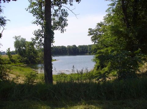 Main Photo