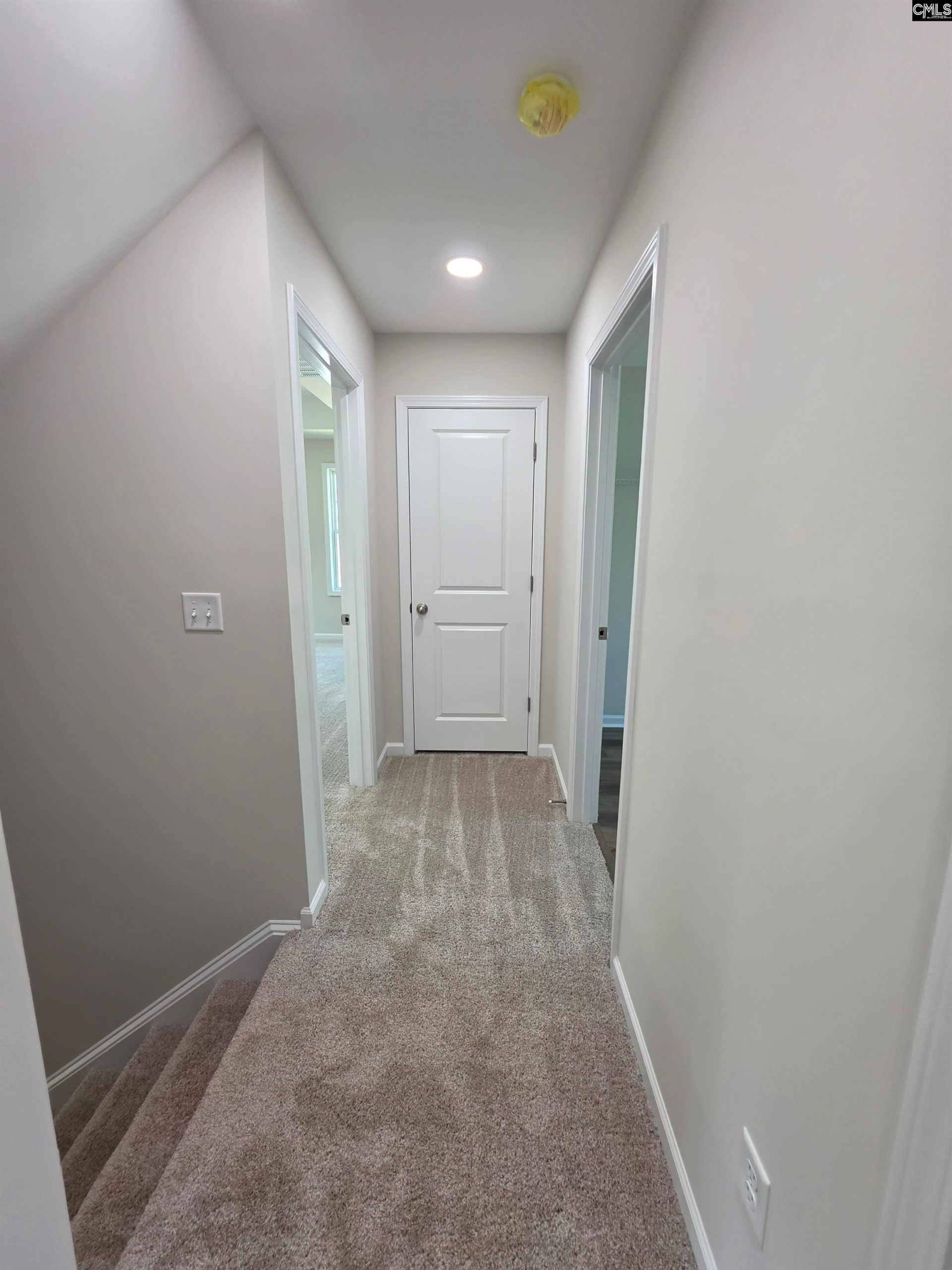 93 Dogwood Cottage Court Photo 29