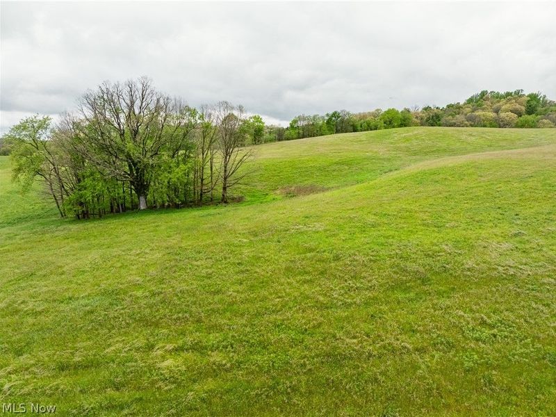 Timmerman Road, Bowerston, OH 44695 Photo 5