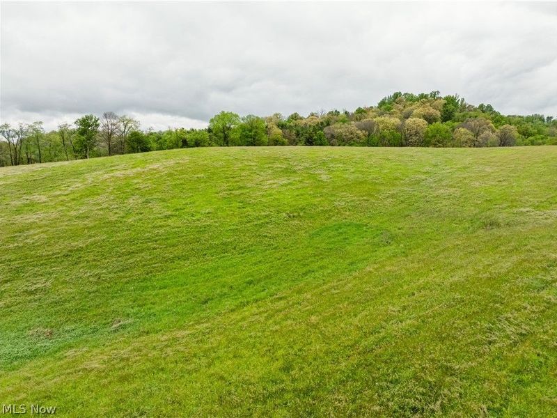 Timmerman Road, Bowerston, OH 44695 Photo 12