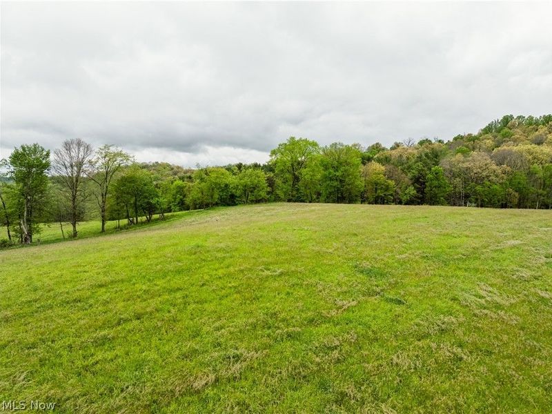 Timmerman Road, Bowerston, OH 44695 Photo 13