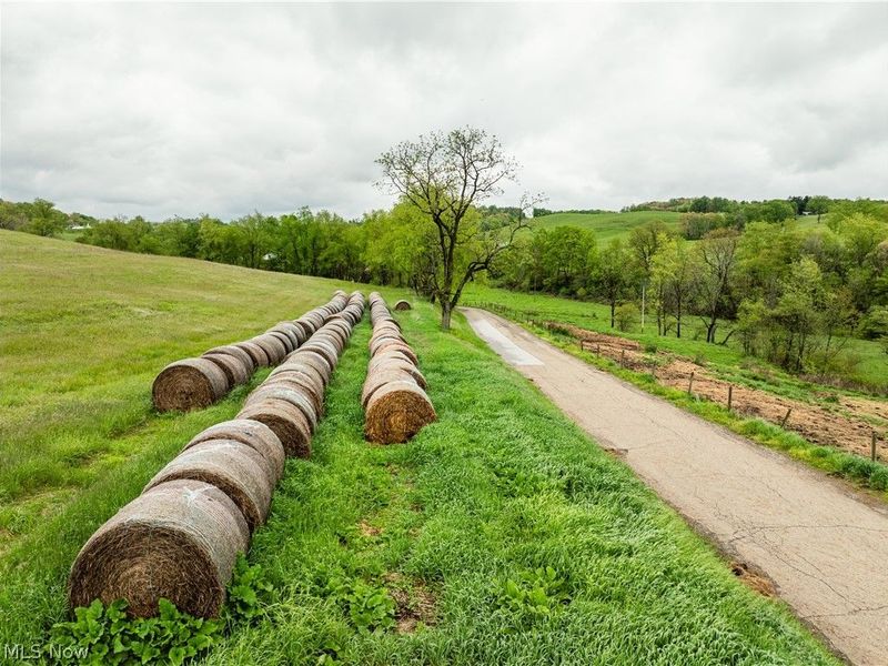 Timmerman Road, Bowerston, OH 44695 Photo 17