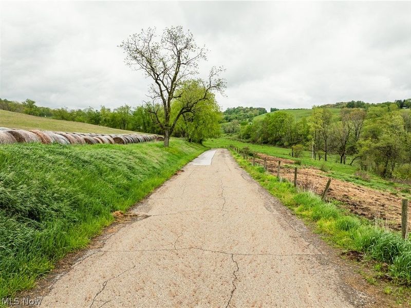 Timmerman Road, Bowerston, OH 44695 Photo 18