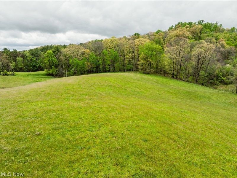 Timmerman Road, Bowerston, OH 44695 Photo 19