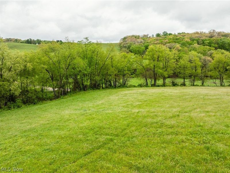 Timmerman Road, Bowerston, OH 44695 Photo 22