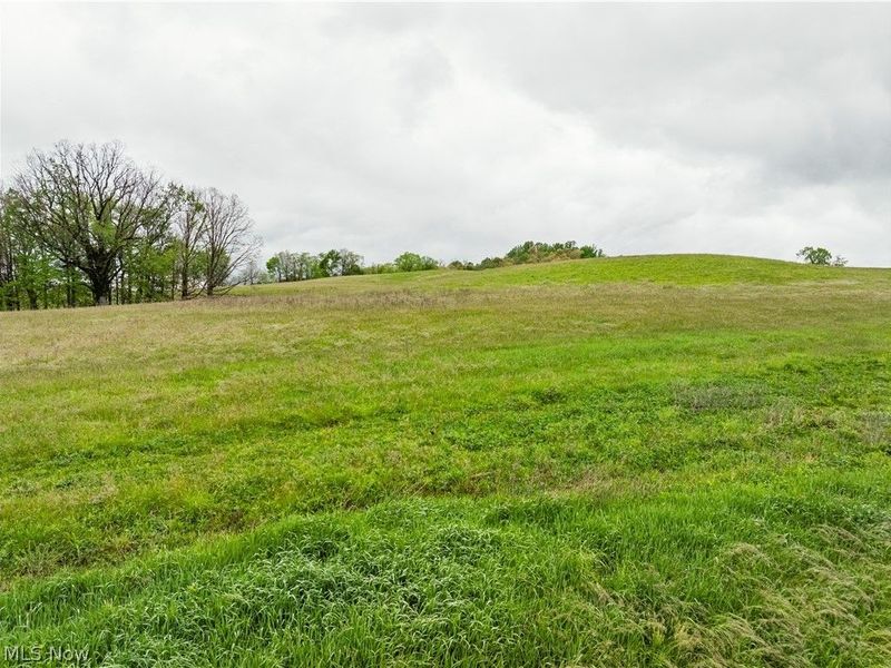 Timmerman Road, Bowerston, OH 44695 Photo 8