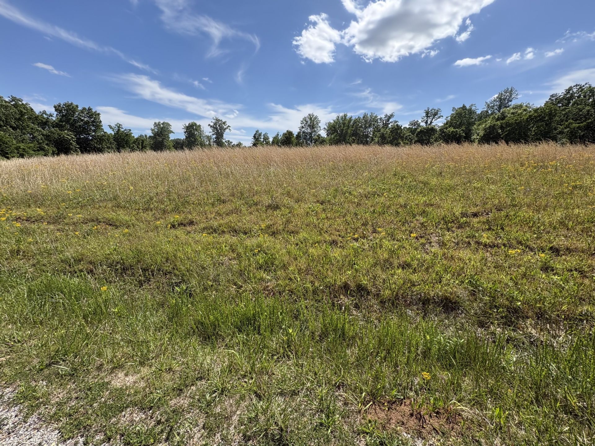 0 Chestnut Grove Rd, Pulaski, TN 38478 Main Photo