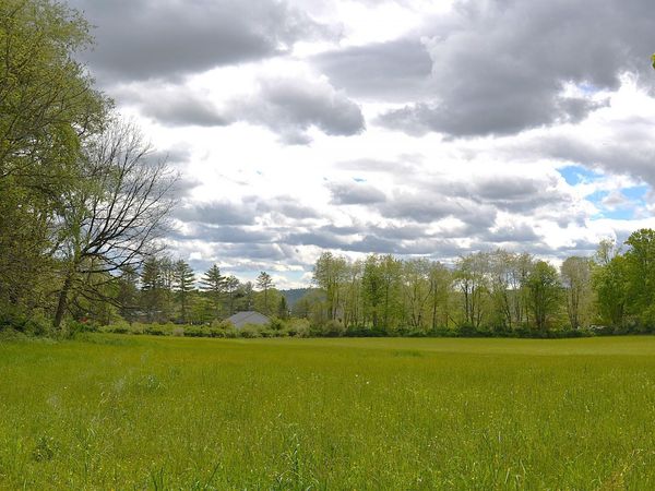 Windy Meadows Ln, Frankford, WV 24938