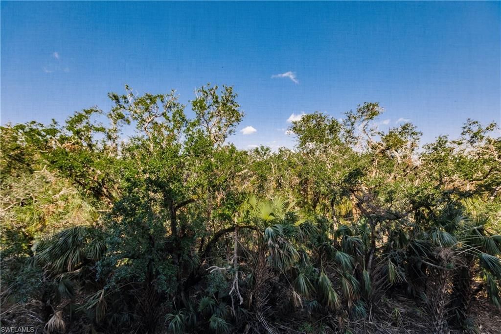 8331 Whiskey Preserve Cir, Unit 438, Fort Myers, FL 33919 Photo
