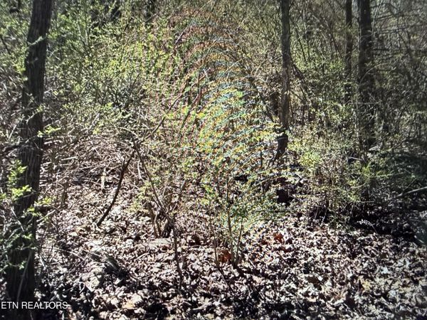 0 TENTH/KNIGHT , Crossville, TN 38555